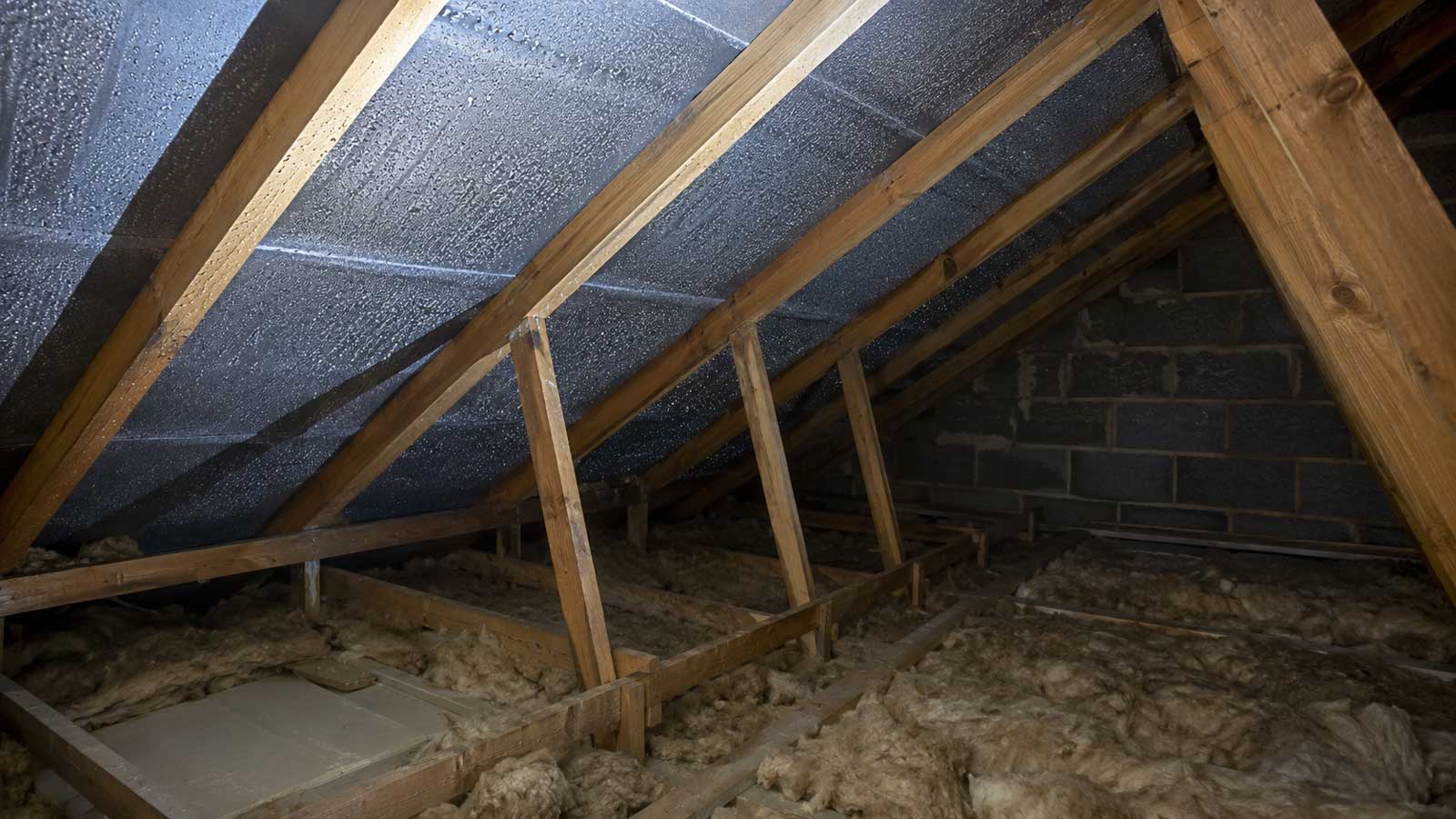 Roofing detail relevant to roof leak or loft condensation in stockport?