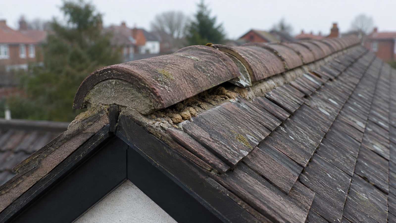Roofing detail relevant to ridge tile repairs in stockport