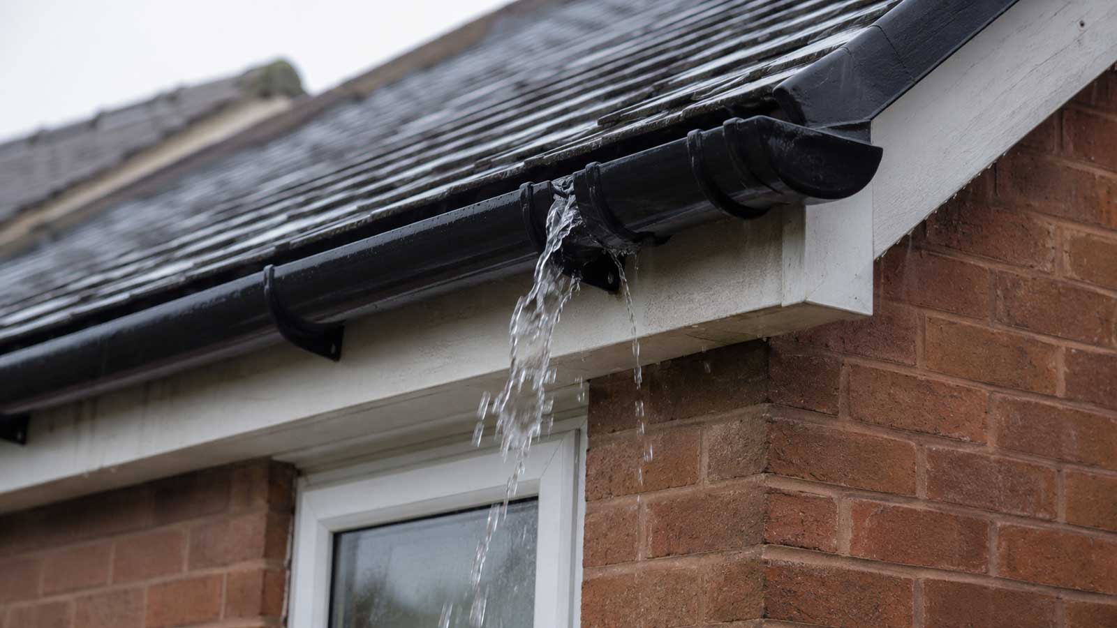Roofing detail relevant to overflowing gutter repairs in stockport